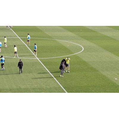 Se confirma la lesión de ligamento cruzado del navarro Manex Lozano en el Racing de Santander