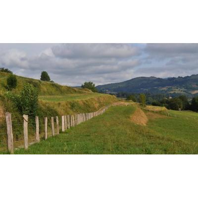El estudio del paisaje, del Cidacos a Ziga