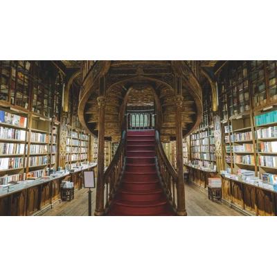 Portugal: un viaje a través de sus librerías más famosas