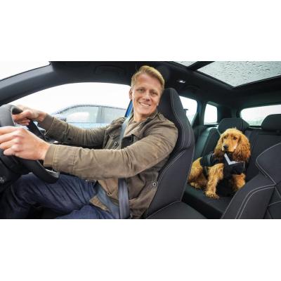 Por qué los perros viajan más tranquilos en un coche eléctrico