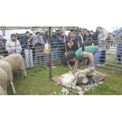 La Feria no defraudó en su día grande
