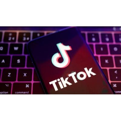 TikTok e Instagram, "telarañas sociales" que "devoran" la mente de menores y adolescentes