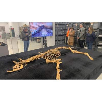 Hallado el esqueleto de un bisonte de hace 4.000 años en Urbasa: "Es un descubrimiento excepcional"