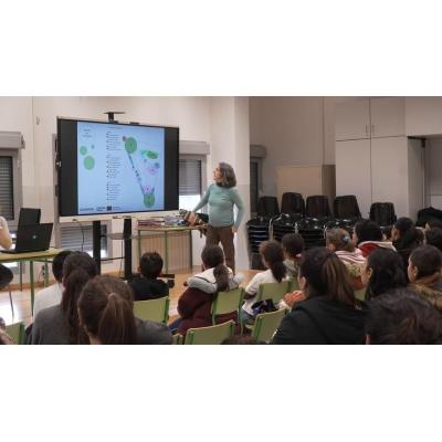 El CPEIP Rochapea transformará su patio de cemento en un espacio natural