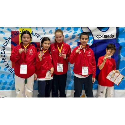 Navarra consigue seis medallas en Taekwondo