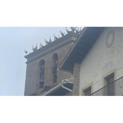 Lerga, tomado por las cigüeñas