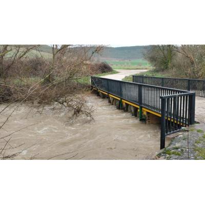 Las lluvias persistentes dejan los primeros desbordamientos en la Cuenca de Pamplona