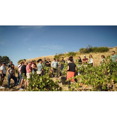 Llega Navargira 2026: tres rutas culturales y enoturísticas para recorrer la Navarra Media