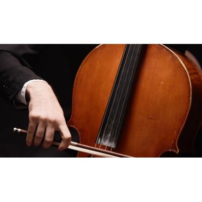 La nueva edición de Pamplona Acción Musical propone seis conciertos y un musical familiar