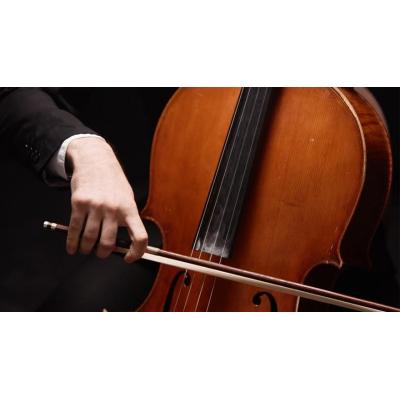 Nueva edición de Pamplona Acción Musical: seis conciertos y un musical familiar
