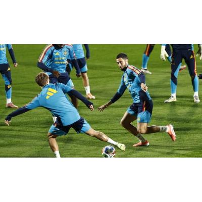 Luis de la Fuente confirma que espera a Mikel Merino: "Si hace falta lo llevamos en brazos"
