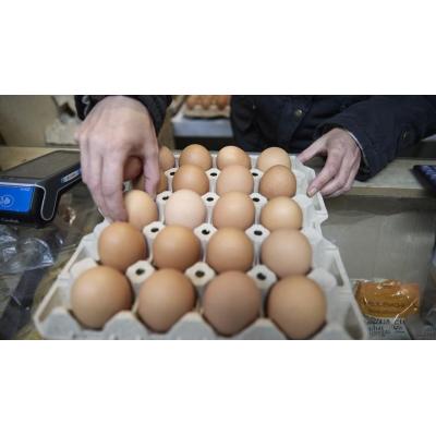 3 meses desde el confinamiento de todas las aves: el precio del huevo sigue al alza por la gripe aviar