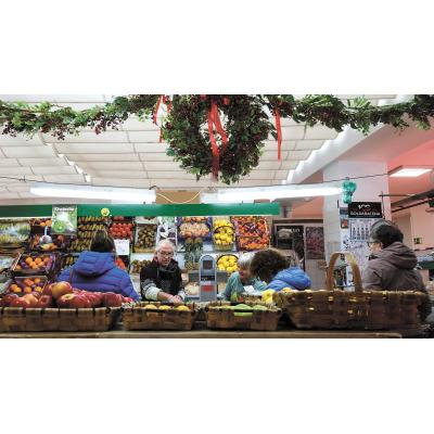 Tafalla aboga por dar cabida a nuevas actividades en el mercado
