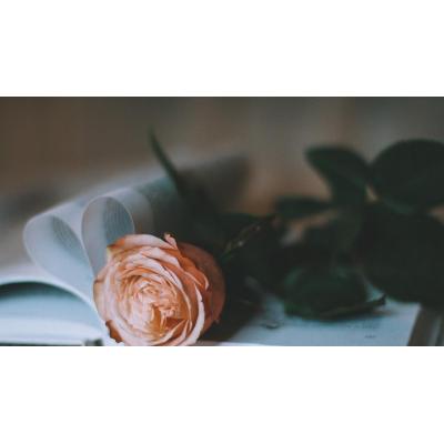 Una pareja 'de pega' para sobrevivir San Valentín en Japón