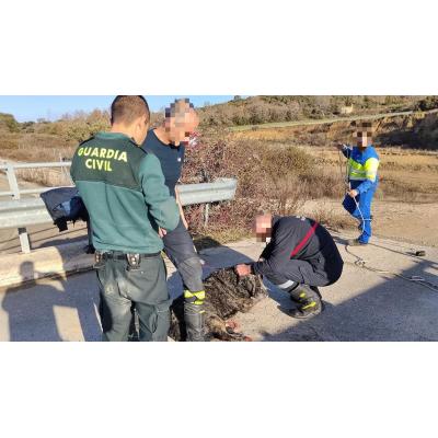 Rescatado un mastín atrapado en el Canal de Navarra