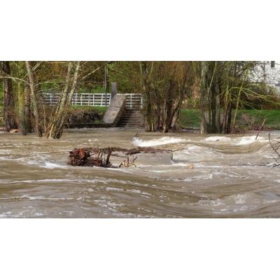 Desactivado el nivel 0 de emergencia por crecida del Arga en Pamplona