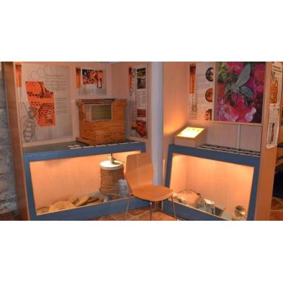 Miel del Gorbeia: secretos y curiosidades en un museo único