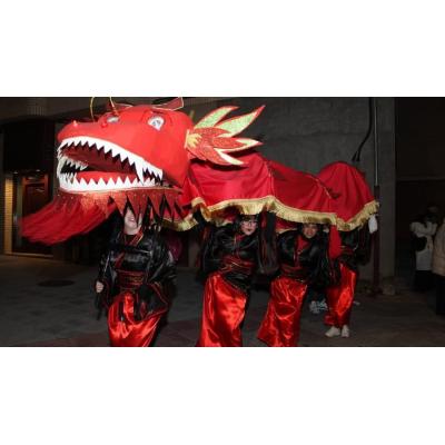 Corella vive el Carnaval
