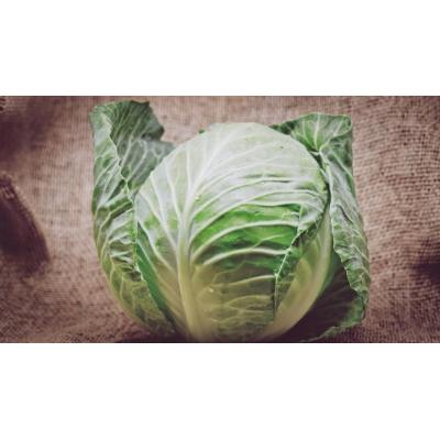 Cómo darle un giro a la berza cocida: recetas creativas y tradicionales