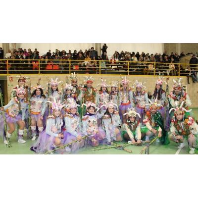 Fotos del carnaval de Castejón 2026