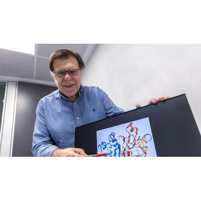 Esta proteína puede ser la responsable de que tu fractura no suelde bien: se ha realizado un estudio en Navarra