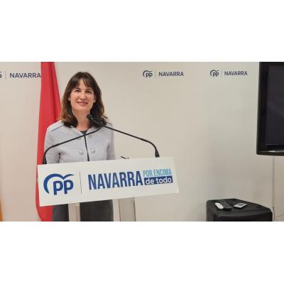Royo (PP) señala que "el partido decidirá" al candidato a las elecciones forales