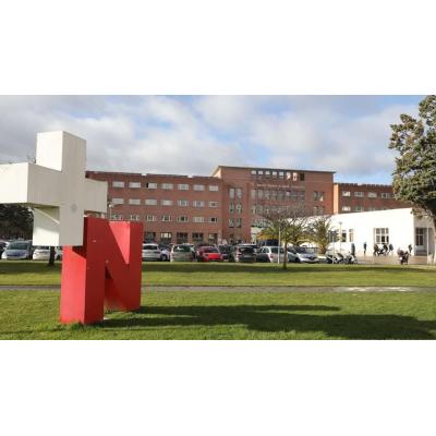 Osasunbidea elabora un protocolo de atención integral a personas trans