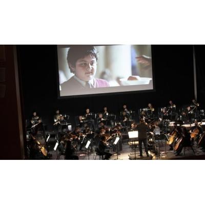 Pamplona recupera el bono cultural joven