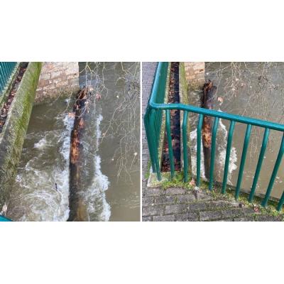Un gran tronco atascado en el Puente de Curtidores tras las riadas en Pamplona