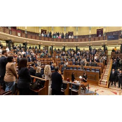 El Congreso votará de nuevo el decreto de pensiones y el escudo social la próxima semana