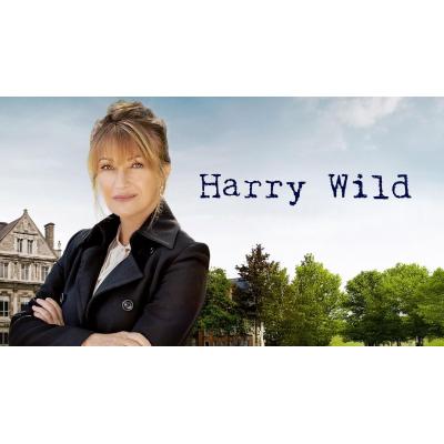 Jane Seymour protagoniza 'Harry Wild', la nueva serie de investigación de Divinity