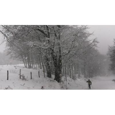 Aviso amarillo por nevadas este jueves en el Pirineo navarro