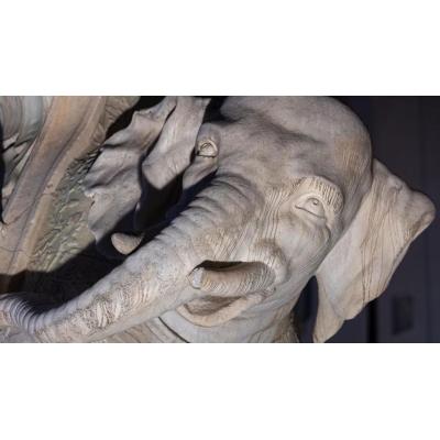 Rompen uno de los colmillos del elefante de Bernini en Roma