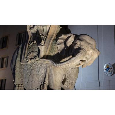 Aparece roto uno de los colmillos del elefante de Bernini en Roma