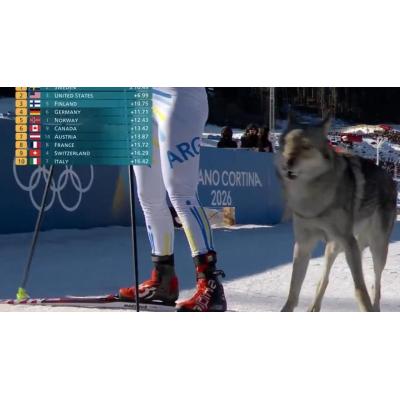 Un perro lobo irrumpe en una prueba de los Juegos Olímpicos de Invierno