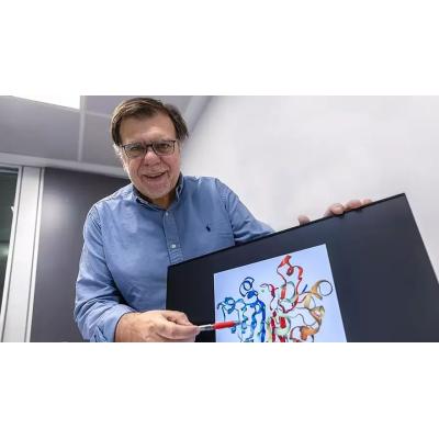 La desactivación de la proteína APEX1 explica por qué hay fracturas óseas que nunca se curan