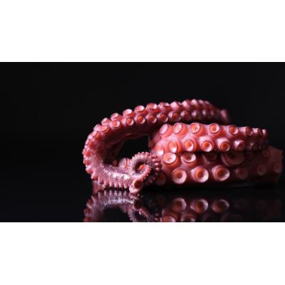 El mejor truco para cocer el pulpo y que quede perfecto