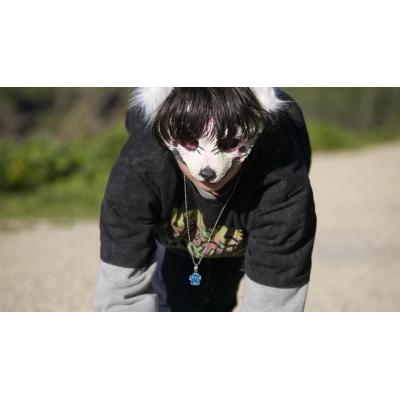 Llega el fenómeno ‘therian’: jóvenes que se identifican y actúan como animales