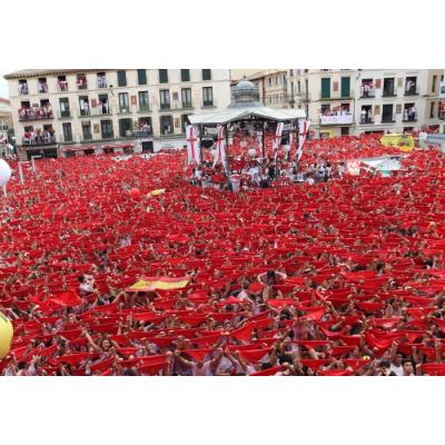 El Ayuntamiento de Tudela convoca el concurso de carteles para anunciar las Fiestas de Santa Ana 2026