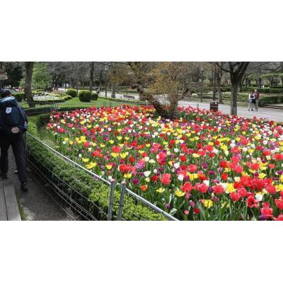 28,8 millones de euros para la conservación de zonas verdes, jardines y fuentes hasta 2030