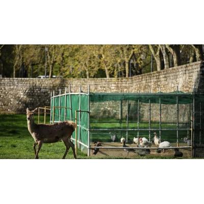 La ‘Rebelión en la granja’ de la Taconera