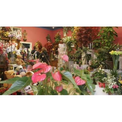 Un nuevo cierre en el centro de Pamplona: adiós a una floristería