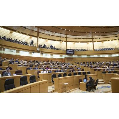 El Senado reformará la ley de víctimas del terrorismo para multar a los 'ongi etorris' con hasta 150.000 euros