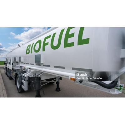 Investigan transformar residuos forestales en combustibles sostenibles para transporte aéreo y terrestre