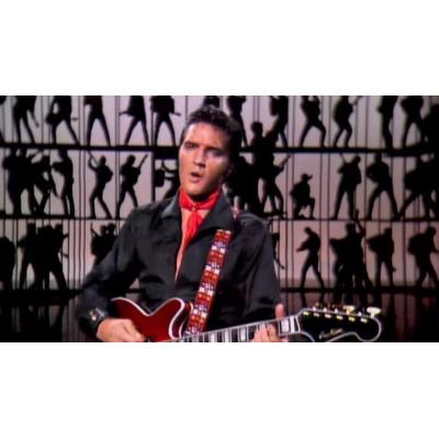 Subastan en Nueva York una histórica guitarra de Elvis Presley, valorada entre 1 y 2 millones de dólares