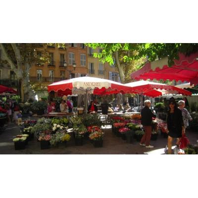 Aix-en-Provence, la joya del sur de Francia entre campos de lavanda y viñedos