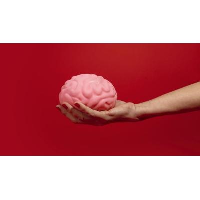 Así cambia el cerebro durante la menopausia y cómo se adapta
