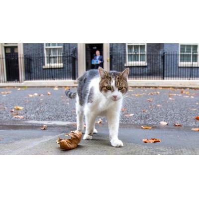 Crónica Social: Todos los perros (y gatos) de los presidentes