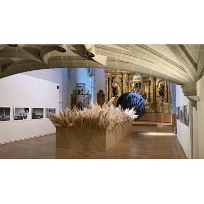 La artista Monika Aranda pone en alerta a Madrid con 'EXOTIC'