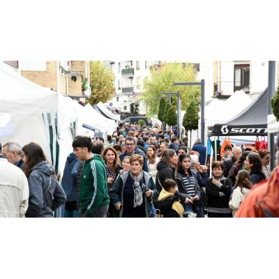 Estudio sociolingüístico en Baztan-Bidasoa con 1.500 encuestas telefónicas